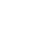 Plan of Action