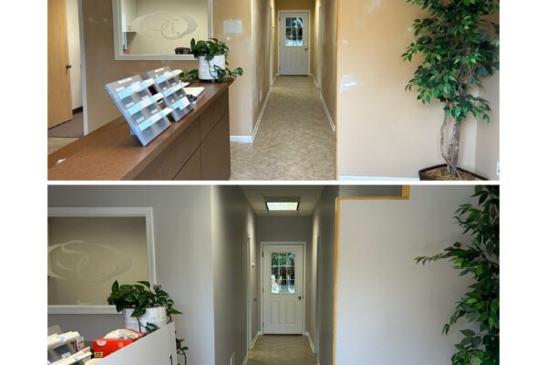 Commercial office interior before and after painting - hallway and reception repainted a modern gray