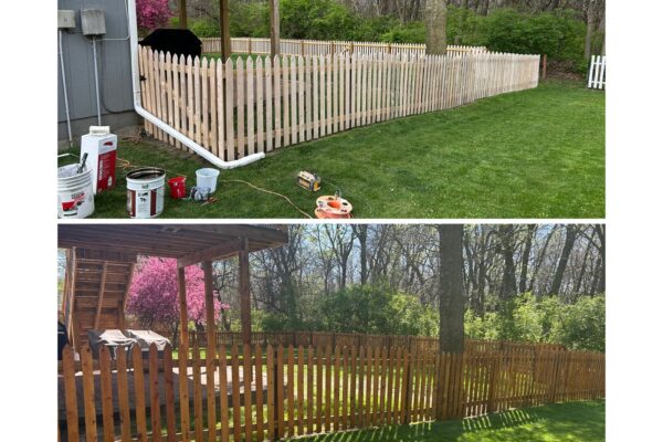 Wood privacy fence before and after staining - bare pickets stained a warm cedar tone